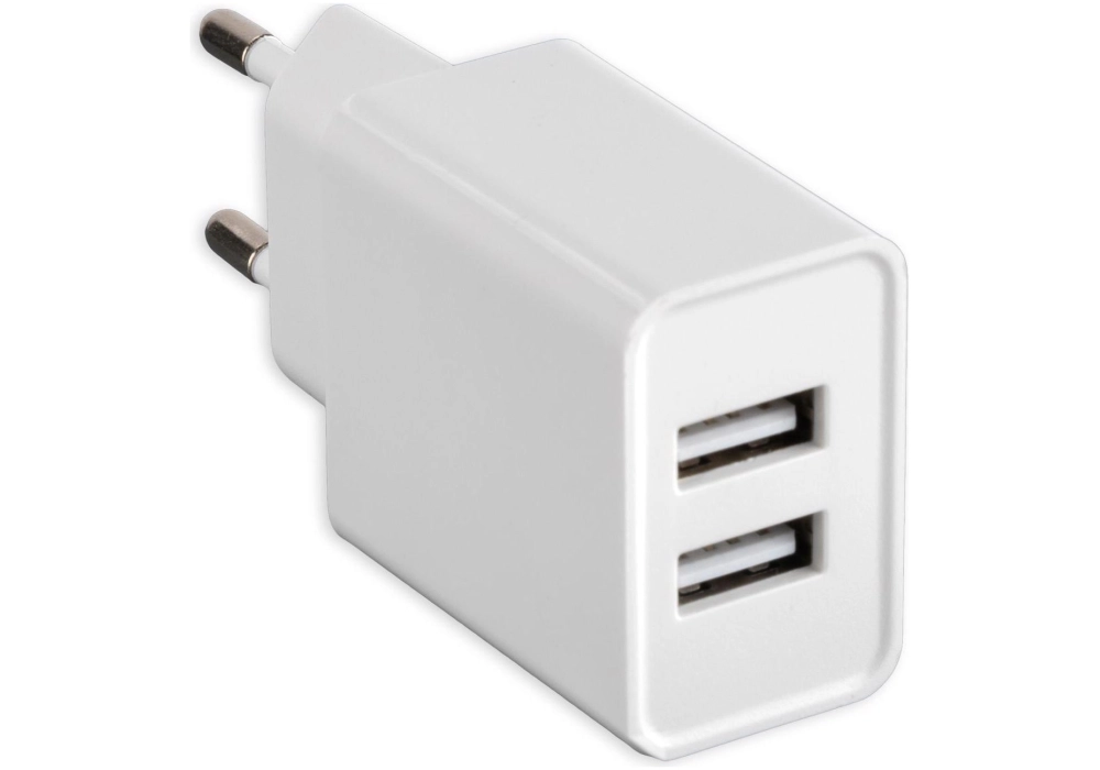 4smarts USB-C Power Adapter VoltPlug Dual 12W