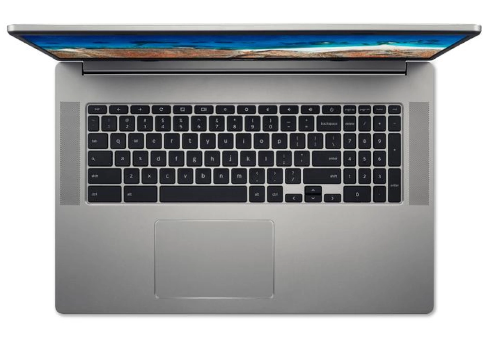 Acer Chromebook 317 (CB317-1H-P8GW)