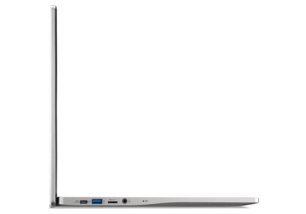 Acer Chromebook 317 (CB317-1H-P8GW)