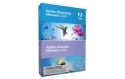 Adobe Photoshop & Premiere Elements 24 Box, Mise à niveau, DE 