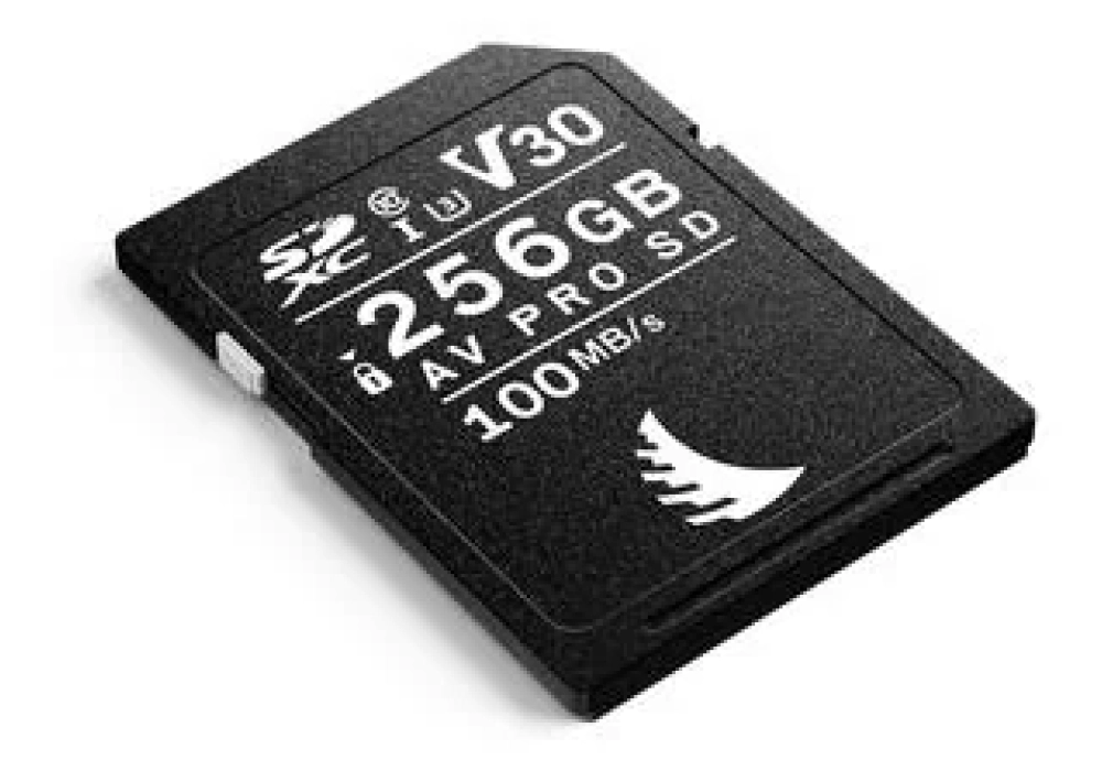 Angelbird Carte SDXC AV Pro SD V30 Mk2 256 GB