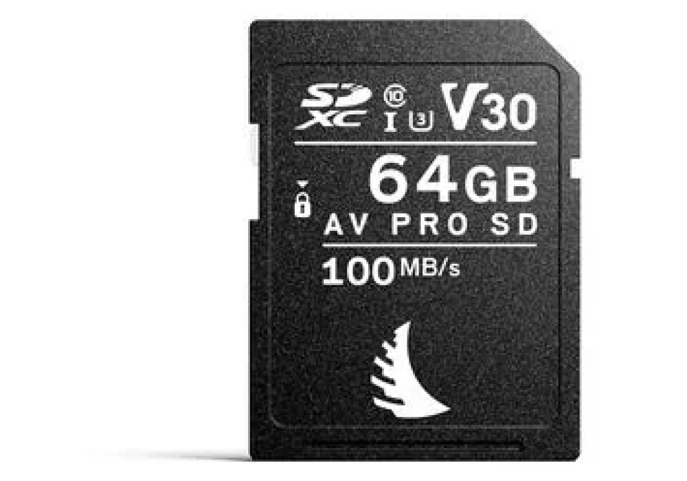 Angelbird Carte SDXC AV Pro SD V30 Mk2 64 GB