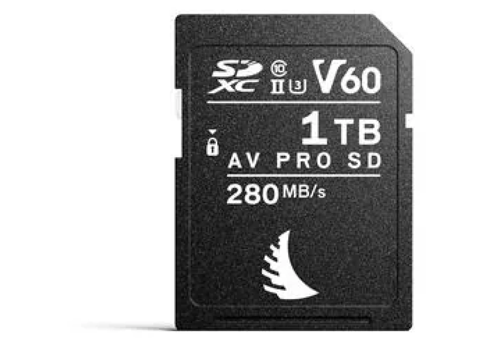 Angelbird Carte SDXC AV Pro SD V60 Mk2 1024 GB