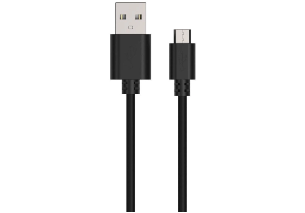 Ansmann Câble chargeur USB Micro USB, 100 cm