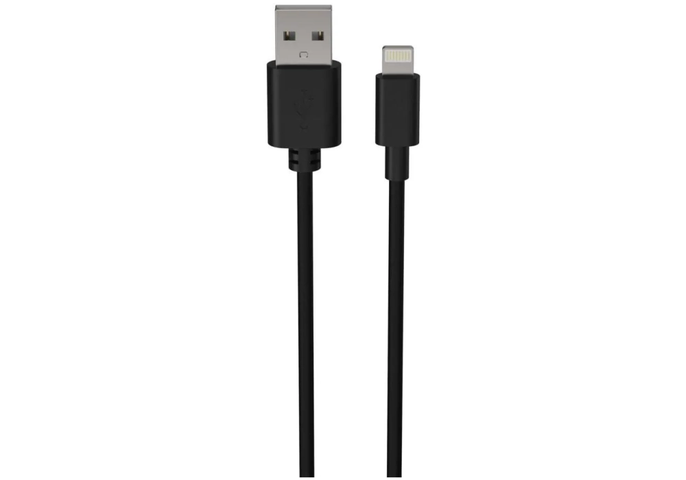 Ansmann Câble chargeur USB USB A, 100 cm
