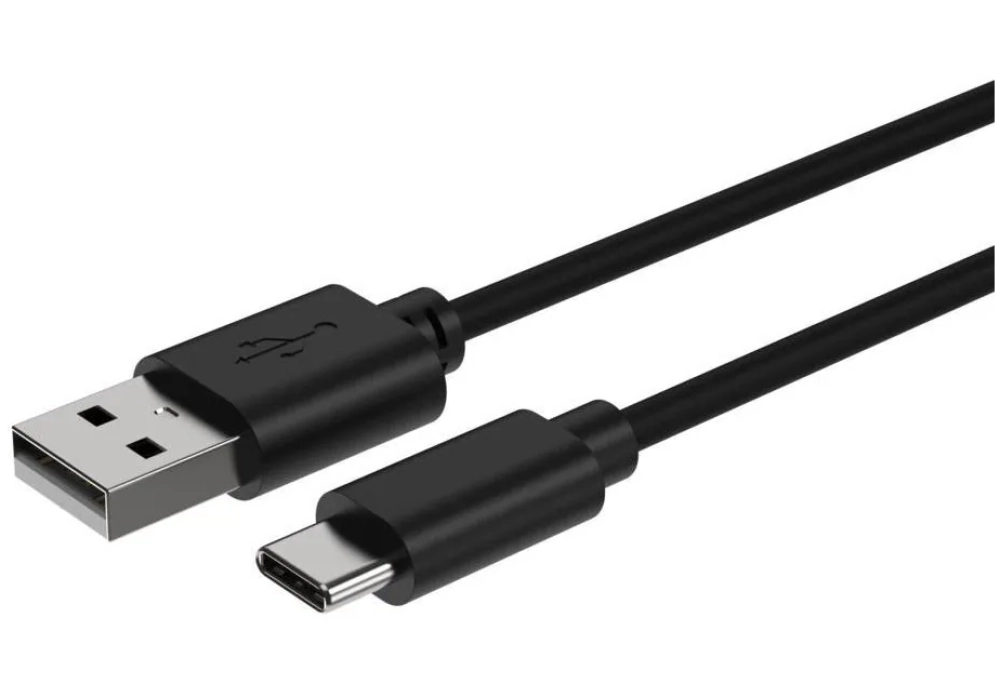 Ansmann Câble chargeur USB USB C, 100 cm
