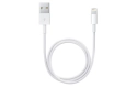 Apple Lightning to USB Cable (0.50 m)