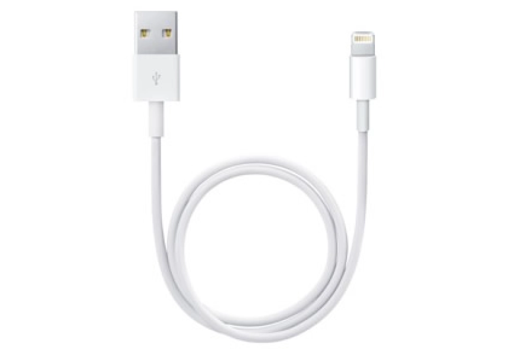 Apple Lightning to USB Cable (0.50 m)