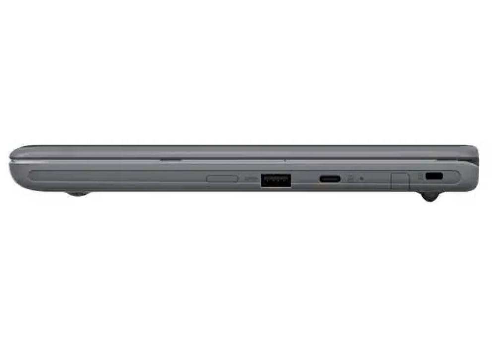 ASUS Chromebook Flip CR1 (CR1100FKA-BP0124)