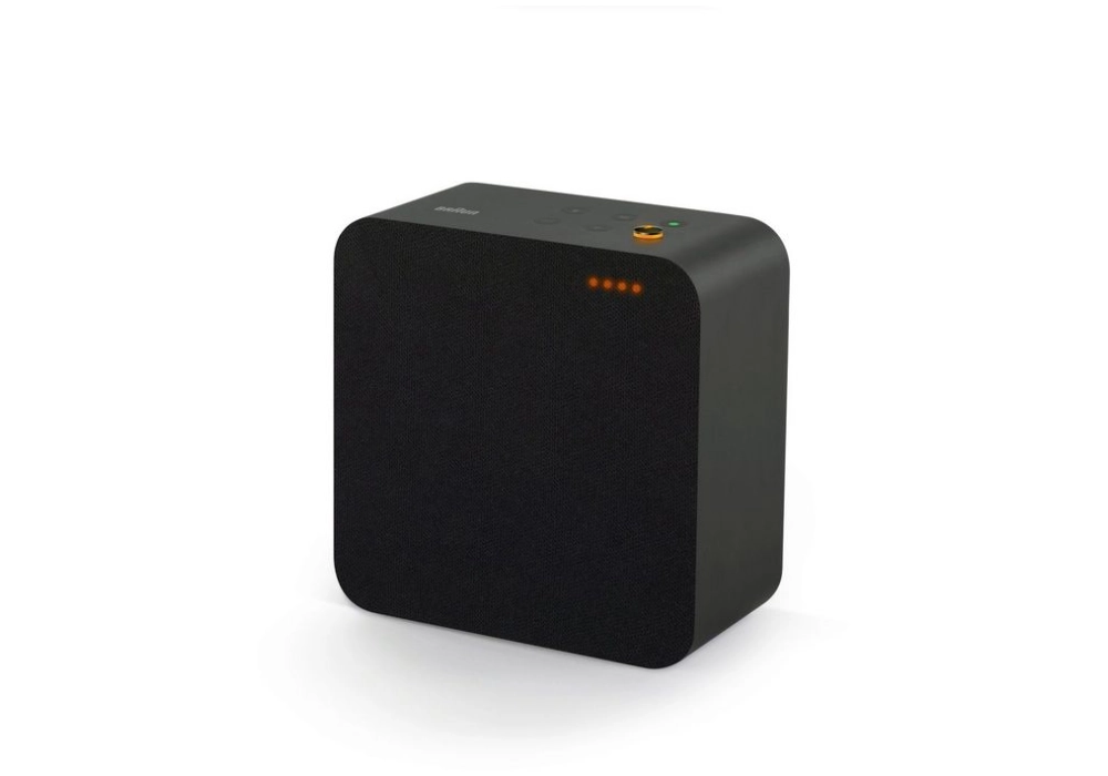 Braun Audio LE03 Speaker (Dark)