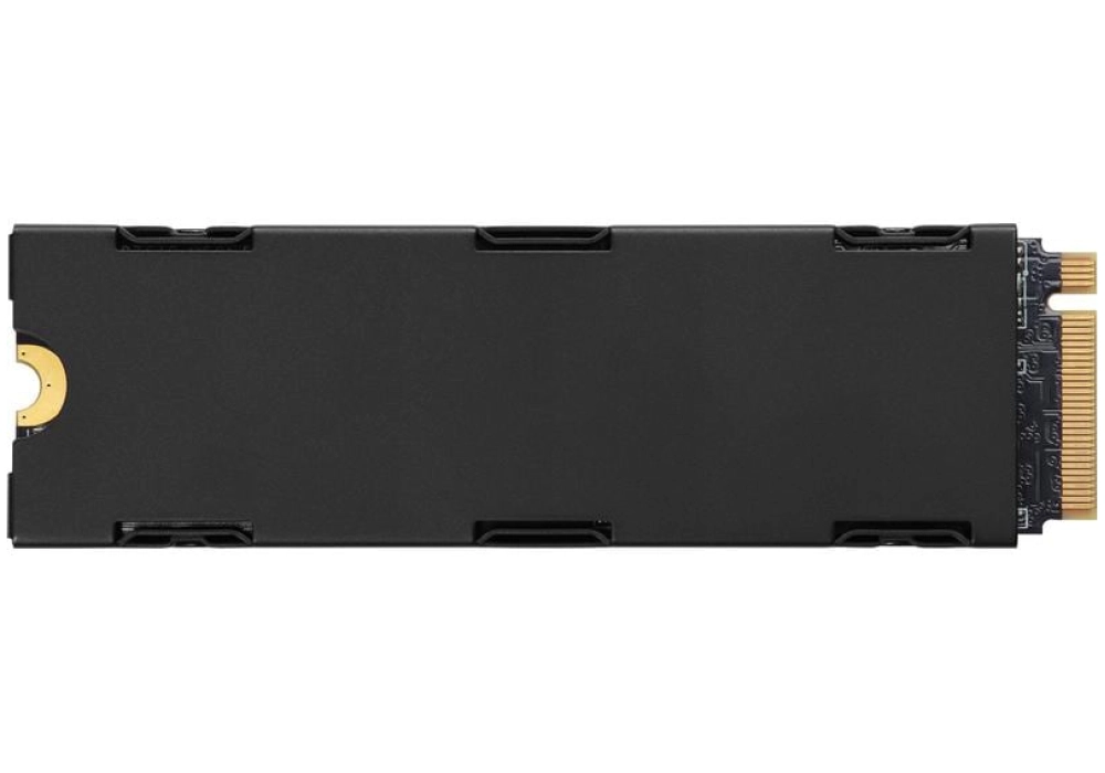 Corsair Force Series MP600 Pro LPX - Compatible PS5 - 500 GB