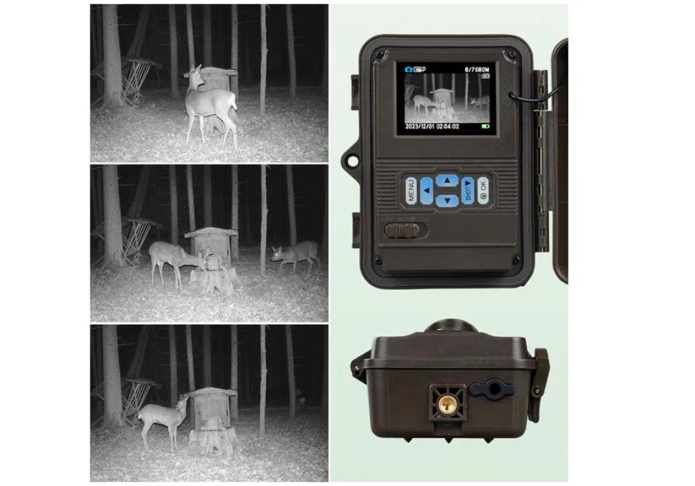 Dörr Caméra animalière SnapShot Mini Black 30MP 4K