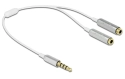 DeLOCK Adaptateur audio 3.5 mm mâle 4 broches > 2x 3.5 mm femelle - 0.25 m (Blanc)