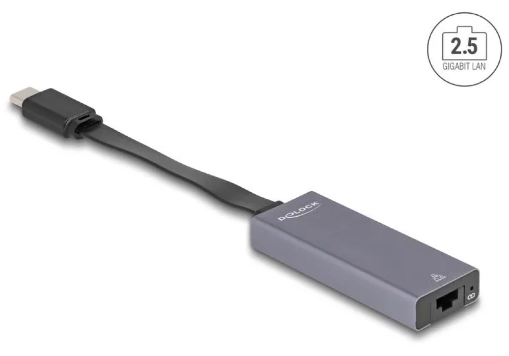 Delock Adaptateur USB Type-C à 2.5 Gigabit LAN, slim