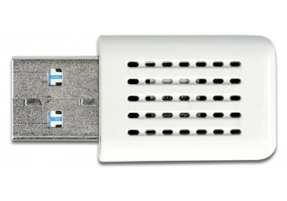 DeLOCK Adaptateur WiFi AC USB 12770 (Blanc)