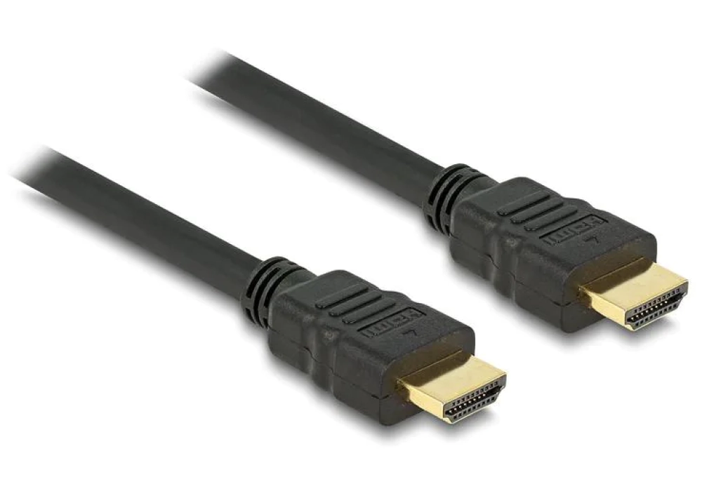 Delock Câble 4K 30Hz HDMI - HDMI, 10 m