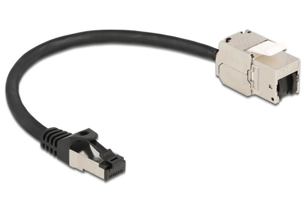 DeLOCK Câble d'extension Keystone Cat 6A, S/FTP (Noir) - 0.25 m