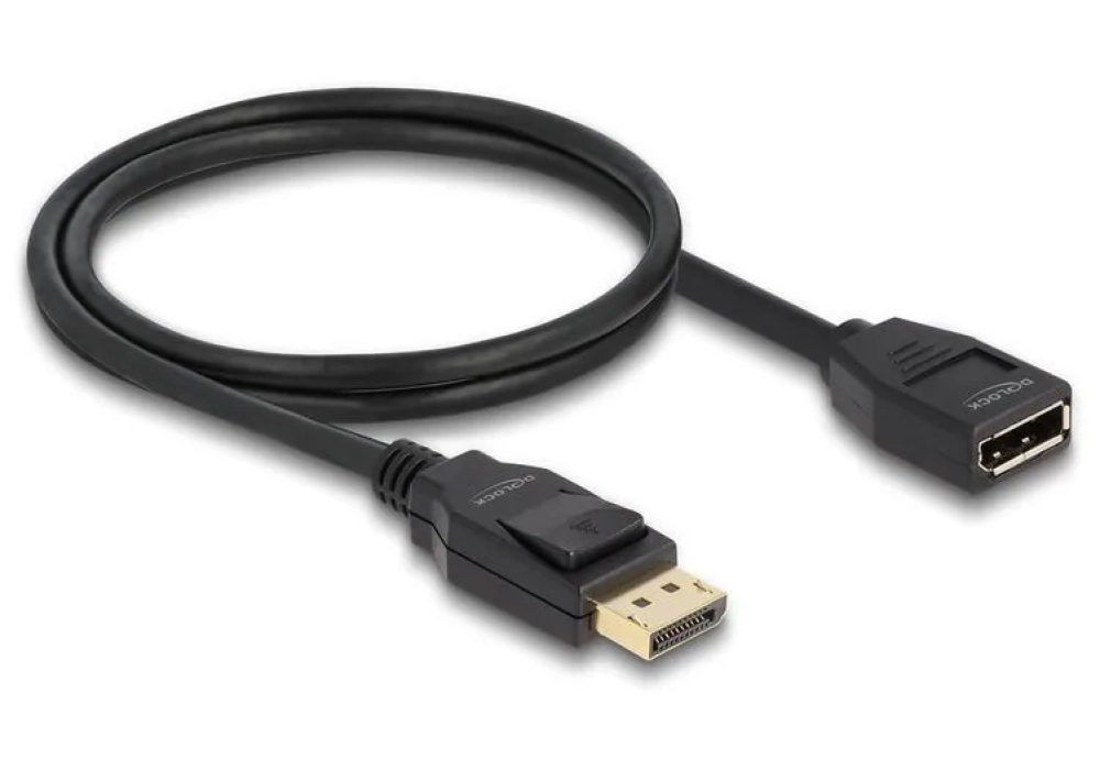 Delock Câble de prolongation 4K 60 Hz DisplayPort - DisplayPort, 1 m