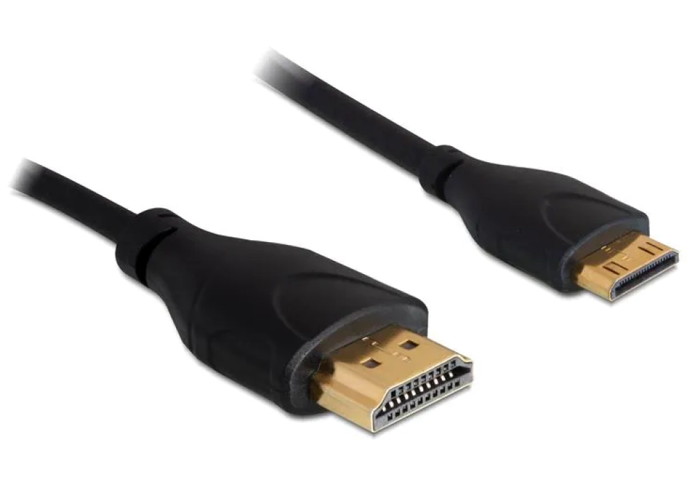 DeLock Câble HDMI / Mini-HDMI (HDMI-C) 4K 30Hz - 1.0 m