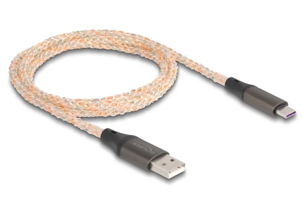 Delock Câble USB 2.0 avec illumination RGB USB A - USB C 1 m