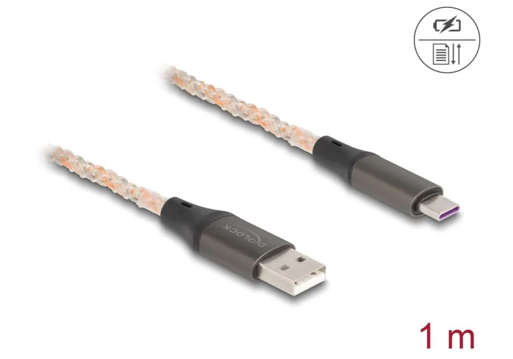 Delock Câble USB 2.0 avec illumination RGB USB A - USB C 1 m