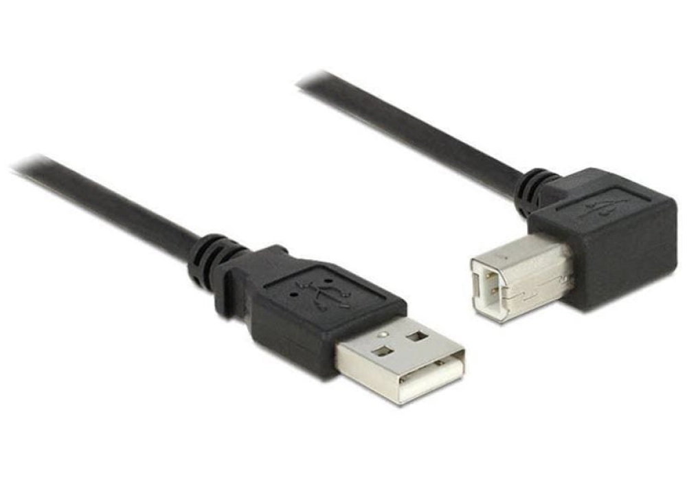 DeLOCK Câble USB 2.0 USB-A - USB-B - 90° - 3.0 m