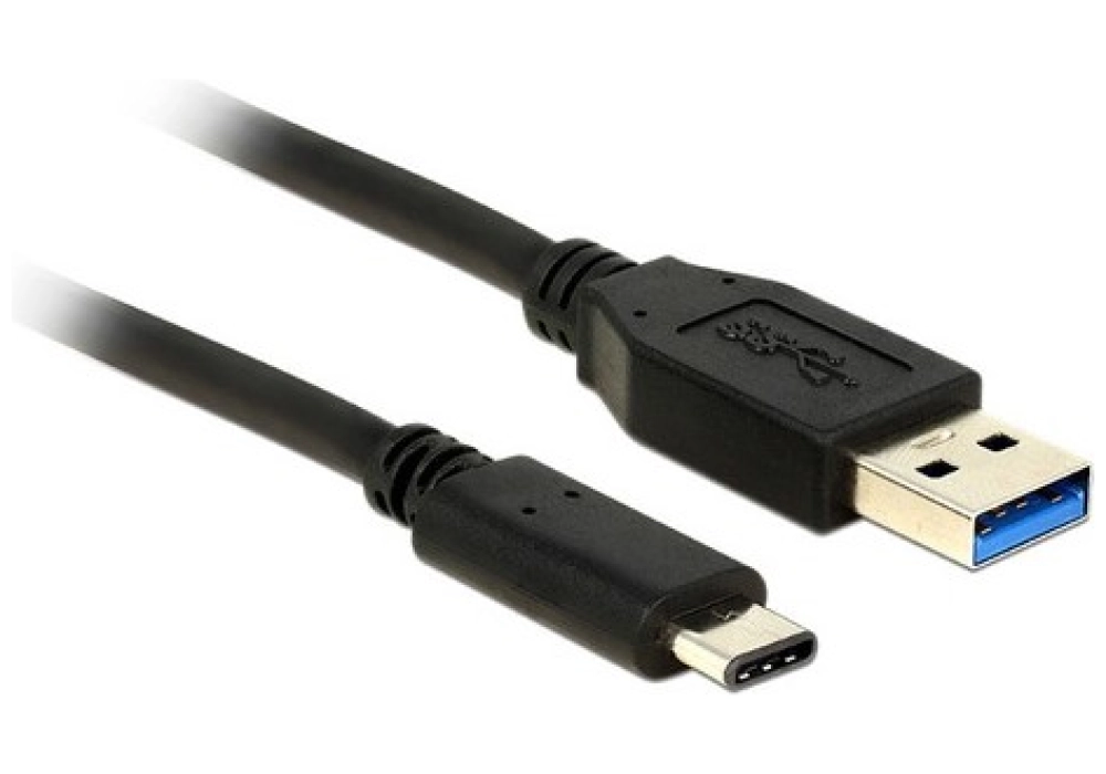 DeLOCK Câble USB 3.1 Gen 2 USB-C - USB-A - 0.5 m