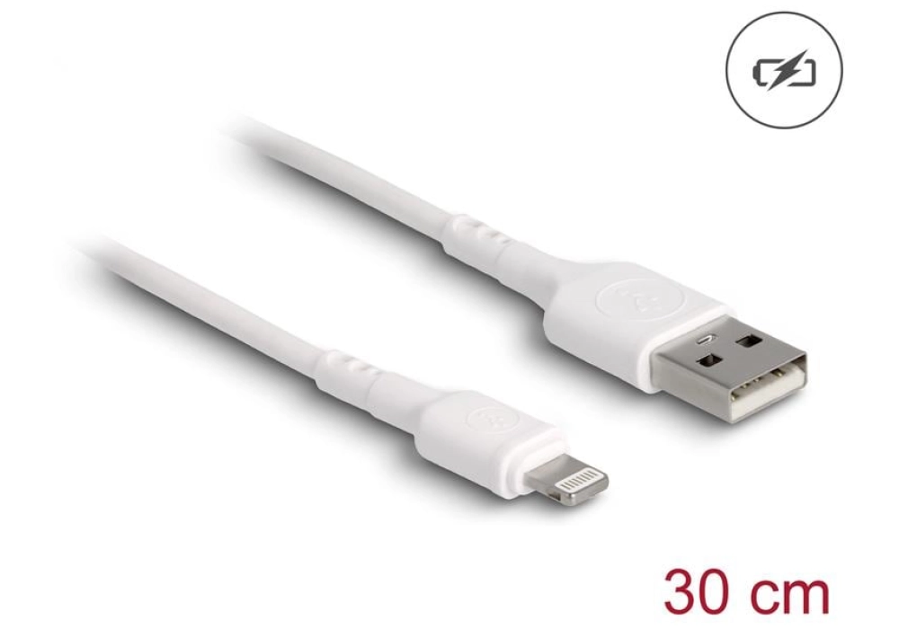 DeLOCK Câble USB-A vers Lightning - 0.3 m (Blanc)
