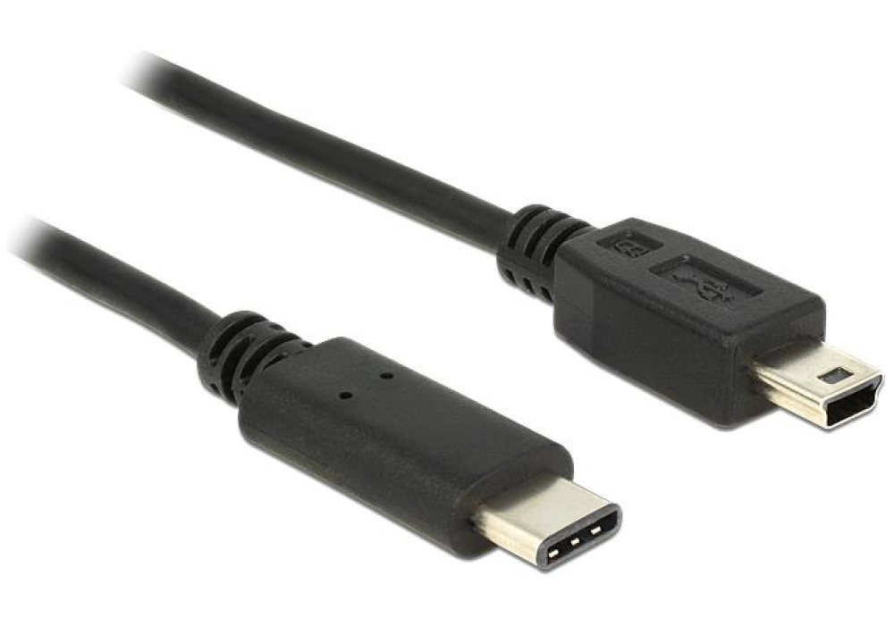 DeLOCK Cable USB Type-C 2.0 male > USB 2.0 type Mini-B male - 2 m