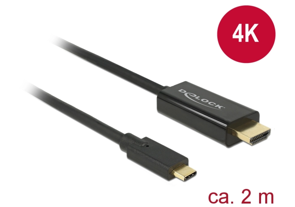 DeLOCK Cable USB Type-C male > HDMI male - 2 m 