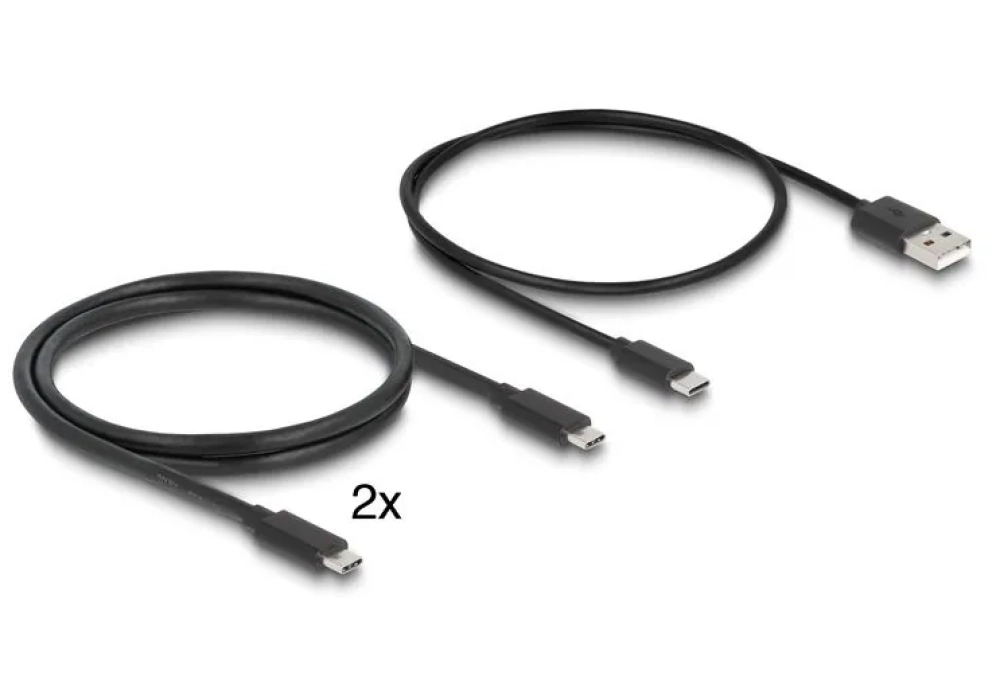 Delock Commutateur KVM USB-C vers HDMI et DisplayPort 8K MST avec USB 2.0