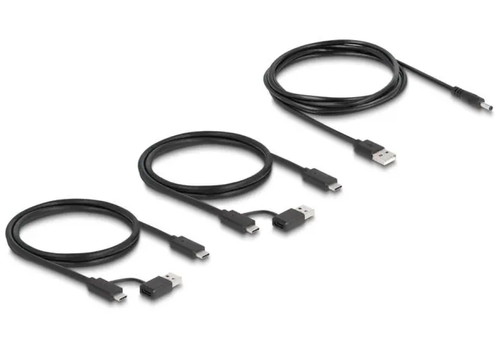 Delock Commutateur USB 4x appareil et 2x hôte 5 Gbps