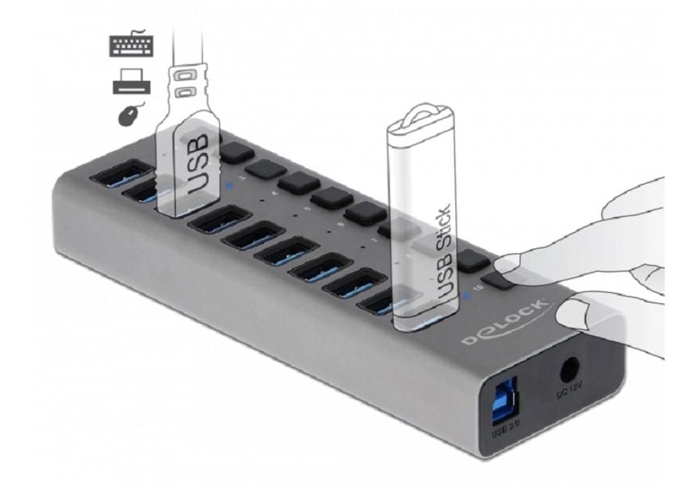 DeLOCK Concentrateur USB 10x USB-A + interrupteurs