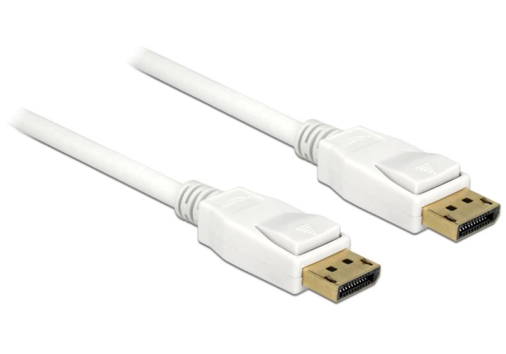 DeLOCK DisplayPort / DisplayPort Cable (White) - 0.5 m