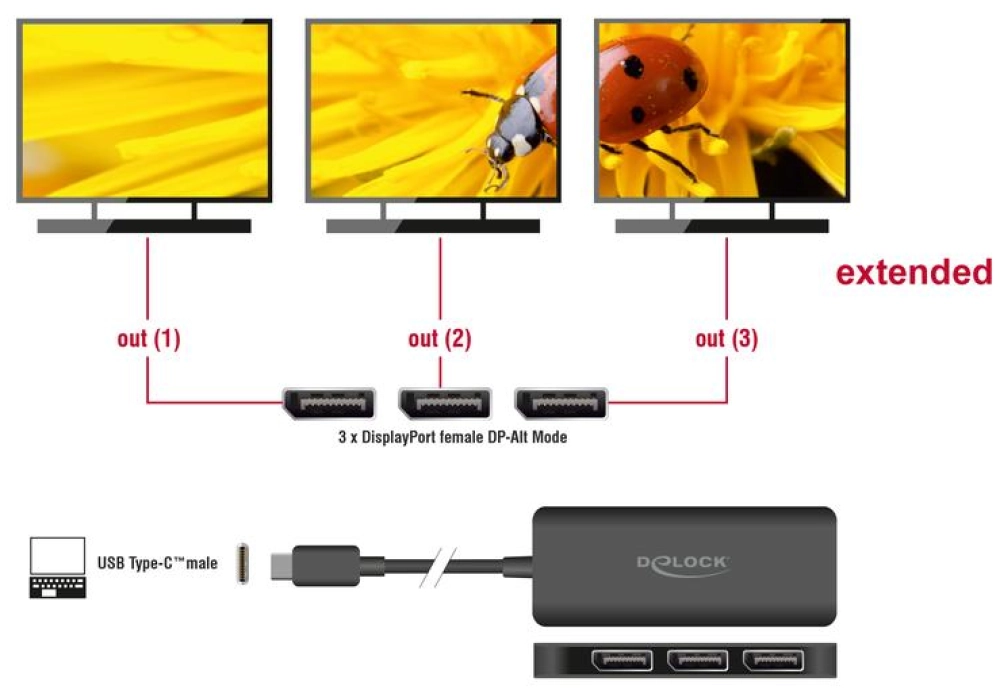 Delock Diviseur de signaux à 3 ports USB-C - 3x DisplayPort