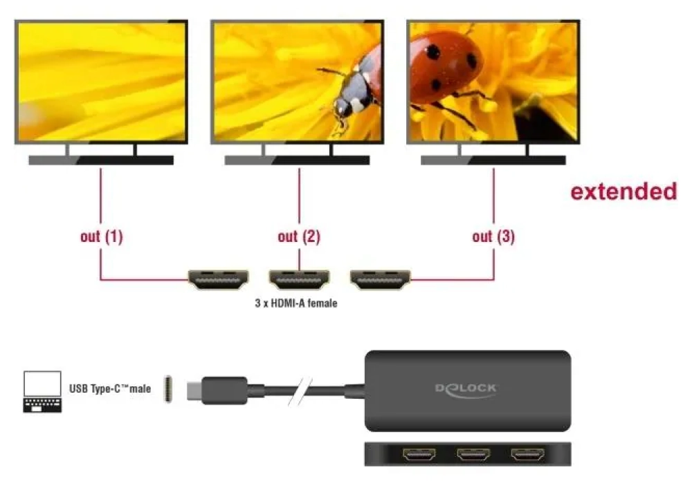 Delock Diviseur de signaux à 3 ports USB-C - 3x HDMI