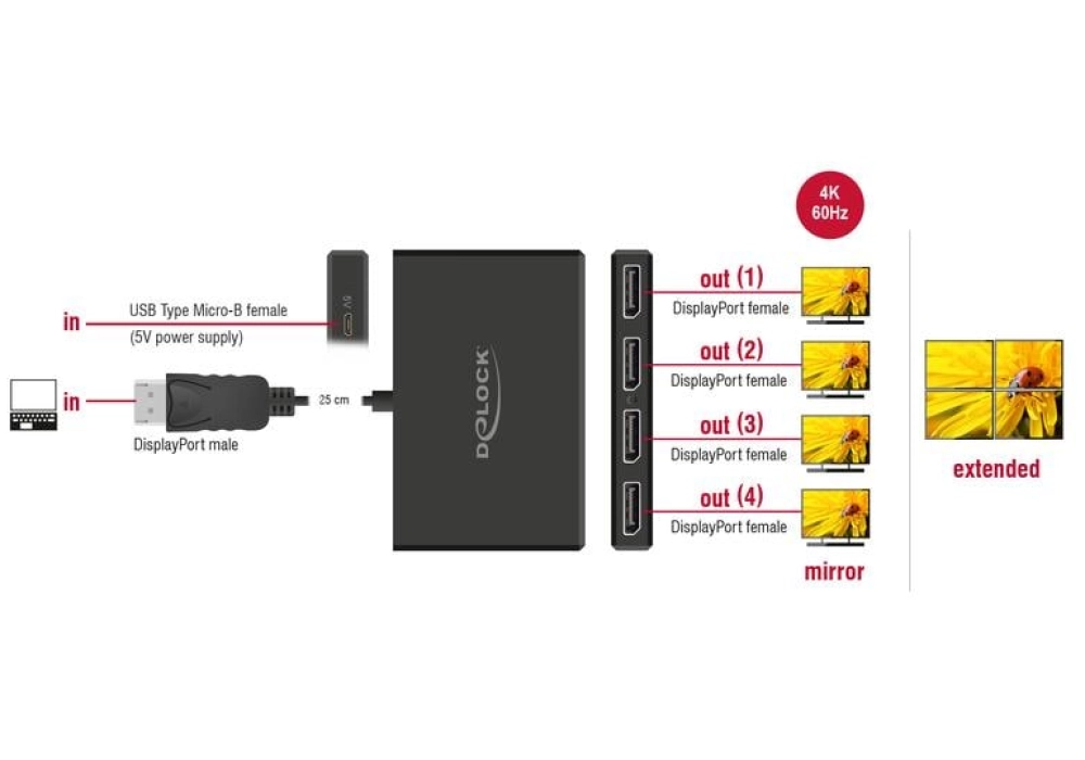 DeLOCK Diviseur de signaux à 4 ports Displayport, 4K/60Hz