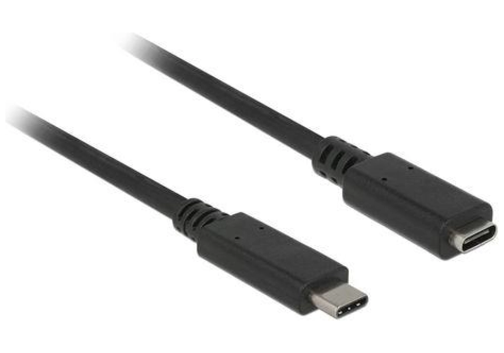 DeLOCK Extension cable (USB 3.1 Gen 1) USB Type-C 1.0 m