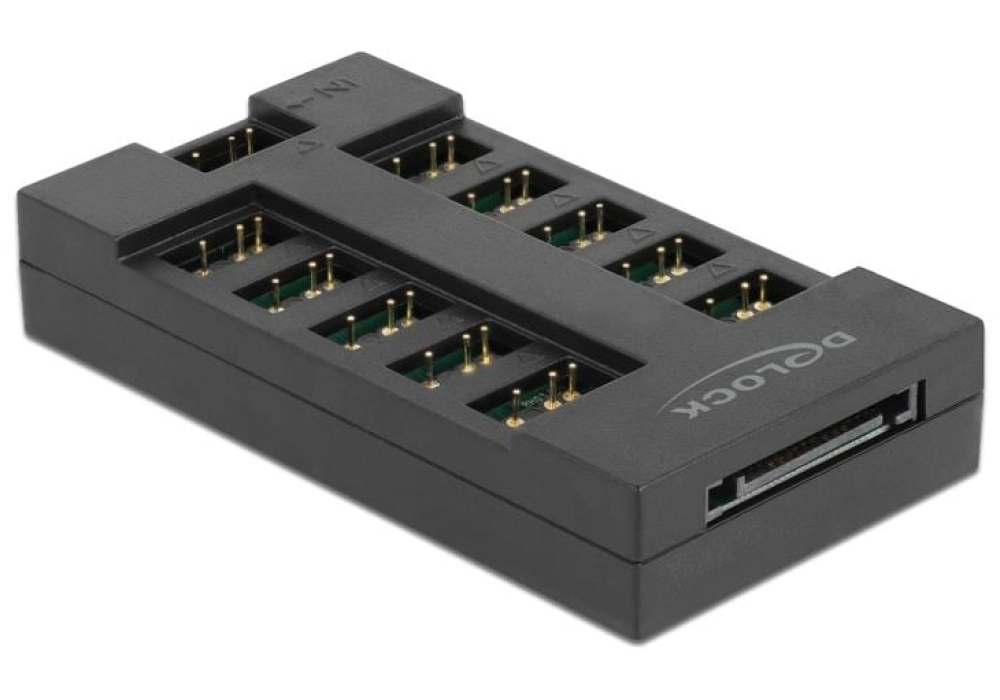 DeLOCK Hub pour LED ARGB avec 10 ports