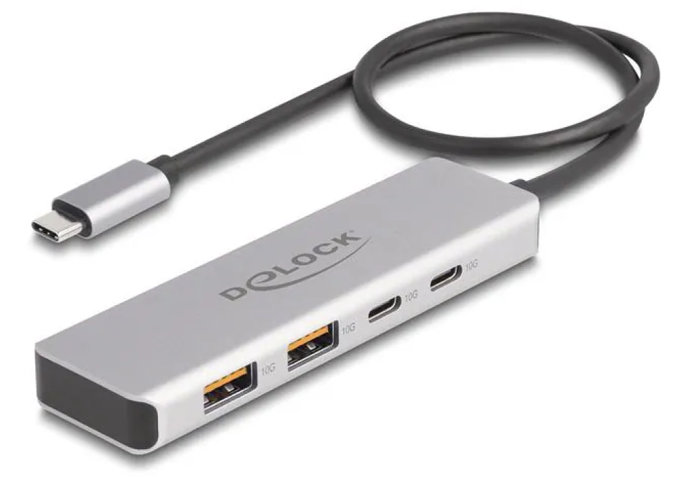 Delock Hub USB 10 Gbps 2 x USB Type-A et 2 x USB Type-C