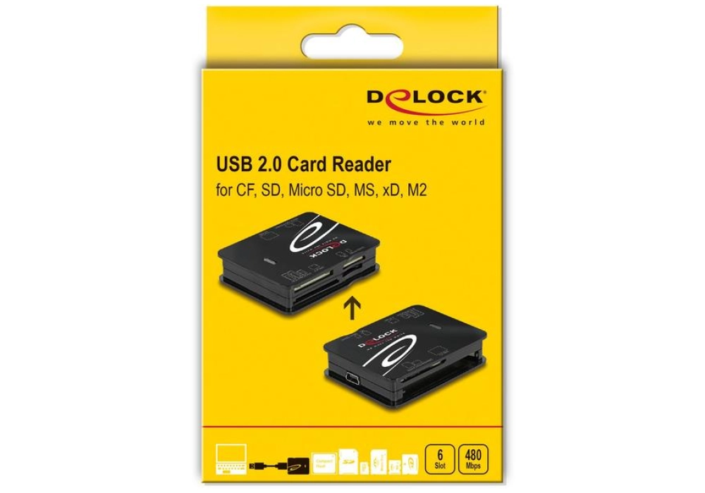DeLOCK Lecteur de carte USB 2.0 All in One (91007)