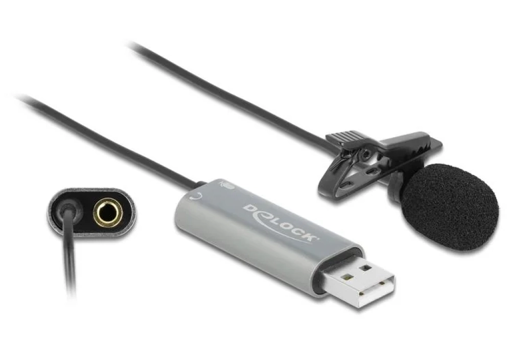 Delock Microphone cravate/Lavallier USB, omnidirectionnel 24Bit/192Khz