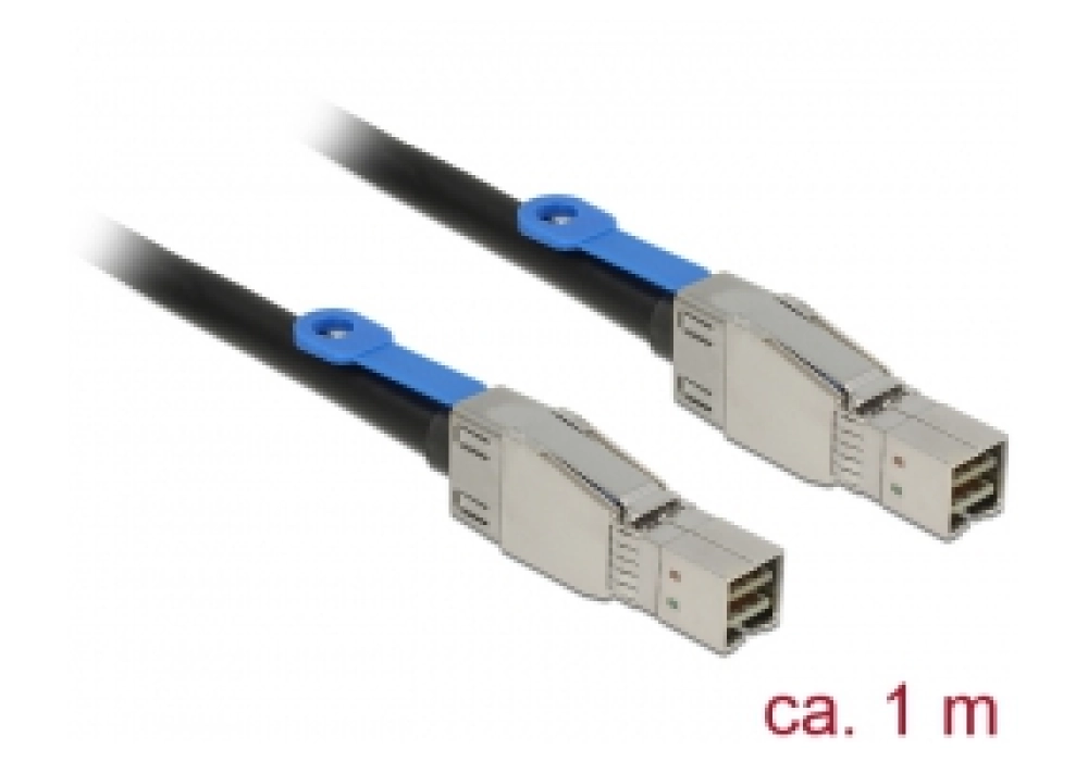 DeLOCK Mini SAS Cable HD SFF-8644 > Mini SAS HD SFF-8644 - 2.0 m