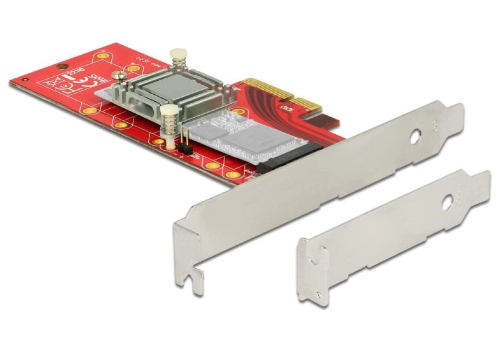 DeLOCK PCIe x4 Card M.2 NVMe with Heat Sink