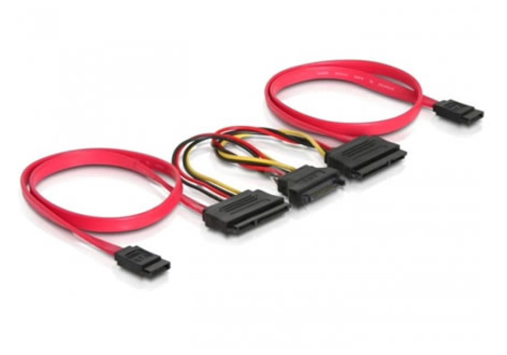 DeLOCK SATA 3 Gb/s All-in-One Cable (For 2 x HDD)