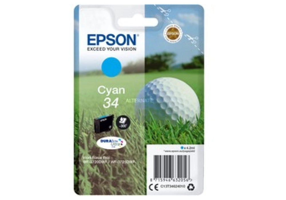 Epson Ink Cartridge 34 - Cyan