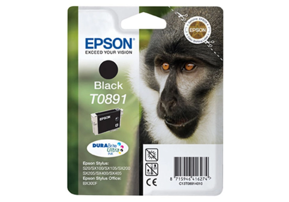 Epson Ink Cartridge T0891 - Black