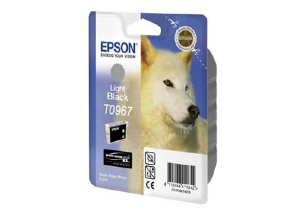 Epson Ink Cartridge T0967 - Light Black