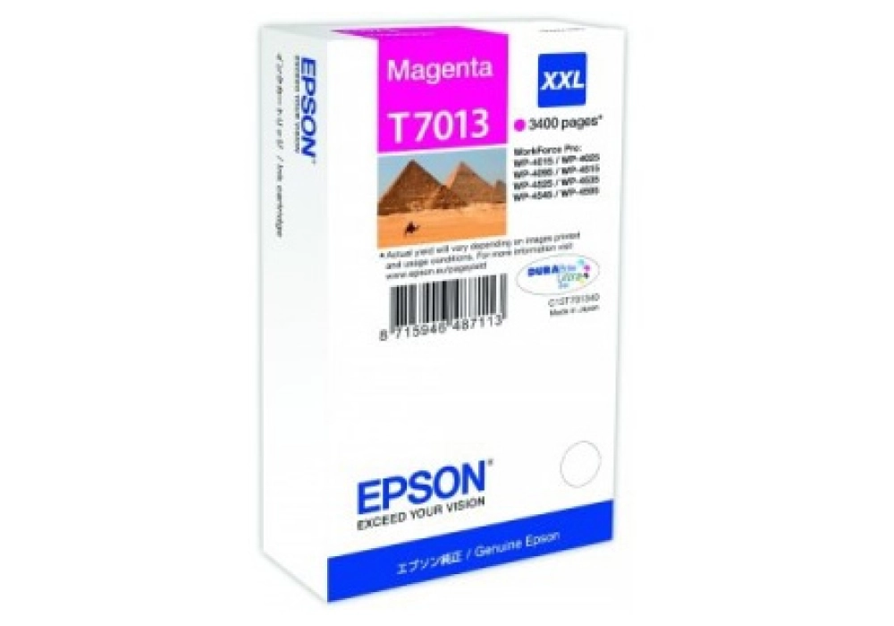 Epson Ink Cartridge T7013 XXL - Magenta