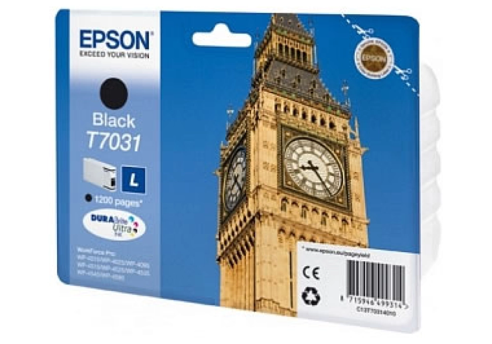 Epson Ink Cartridge T7031 L - Black